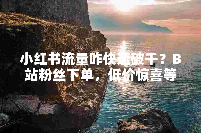 小红书流量咋快速破千？B站粉丝下单，低价惊喜等你