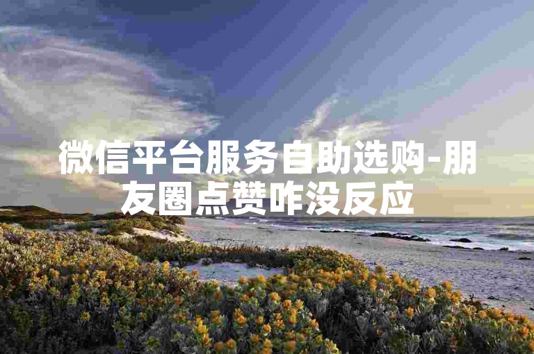 微信平台服务自助选购-朋友圈点赞咋没反应