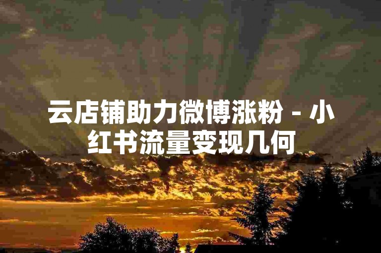 云店铺助力微博涨粉 - 小红书流量变现几何