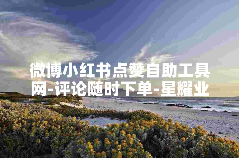 微博小红书点赞自助工具网-评论随时下单-星耀业务站-小红书自助业务真人下单