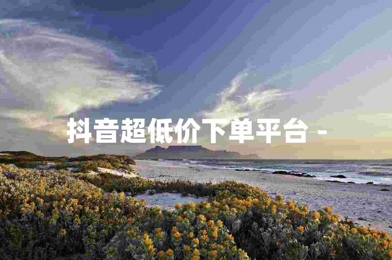抖音超低价下单平台 -