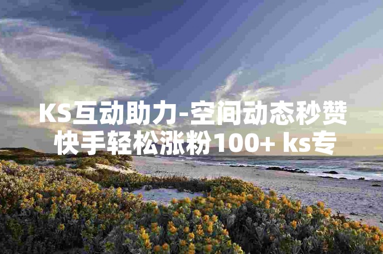 KS互动助力-空间动态秒赞 快手轻松涨粉100+ ks专属平台