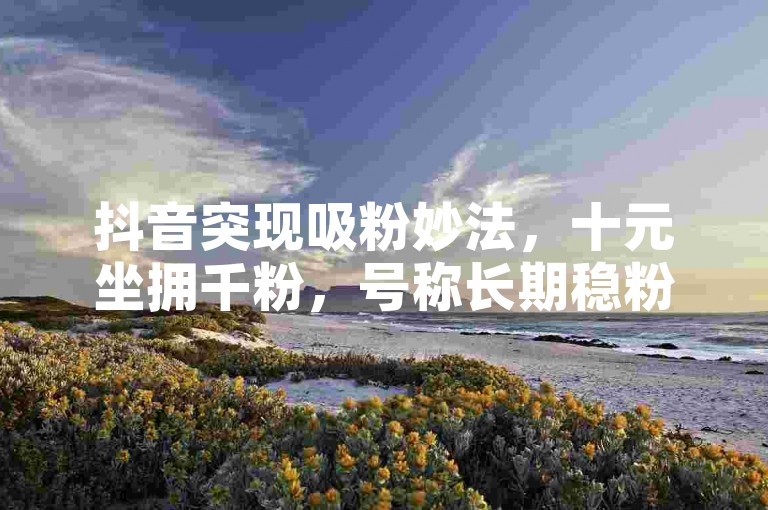 抖音突现吸粉妙法，十元坐拥千粉，号称长期稳粉遭质疑
