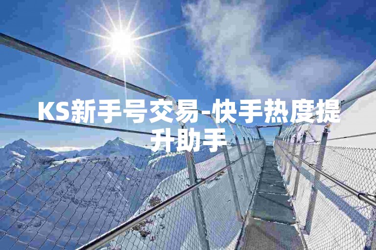 KS新手号交易-快手热度提升助手