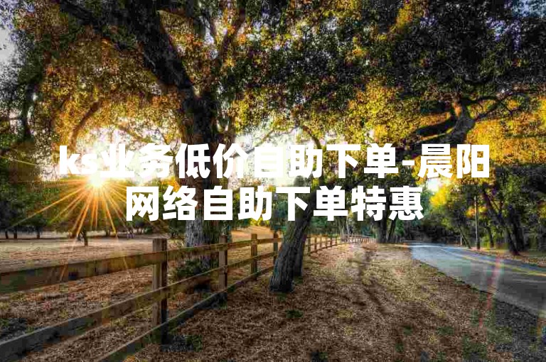 ks业务低价自助下单-晨阳网络自助下单特惠