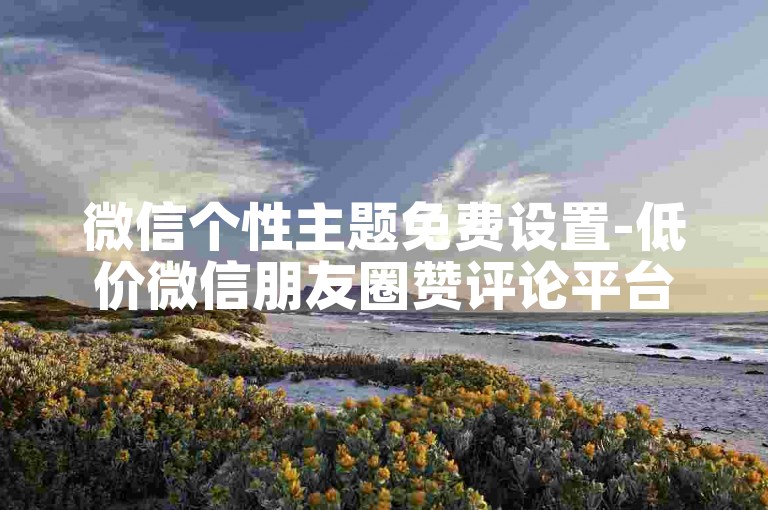微信个性主题免费设置-低价微信朋友圈赞评论平台