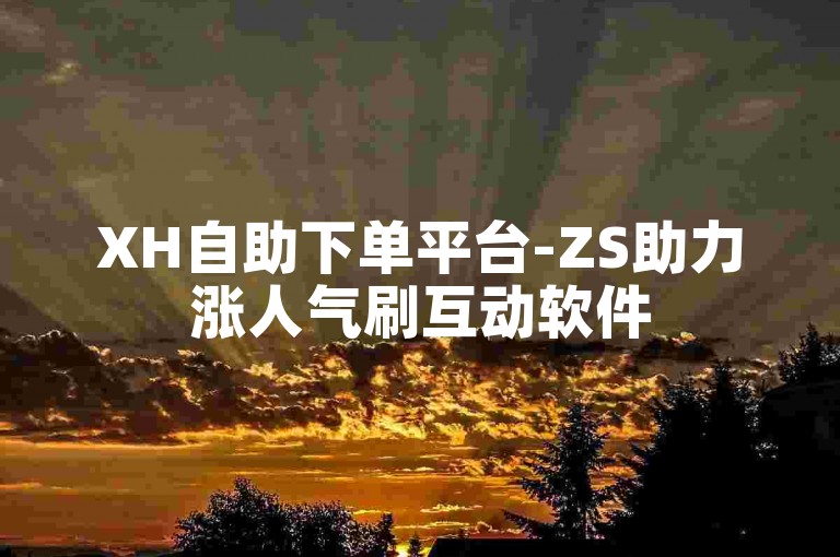 XH自助下单平台-ZS助力涨人气刷互动软件