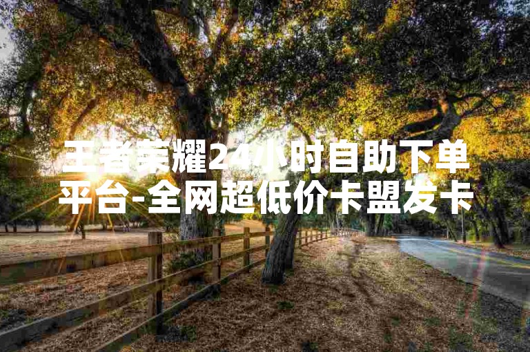 王者荣耀24小时自助下单平台-全网超低价卡盟发卡网