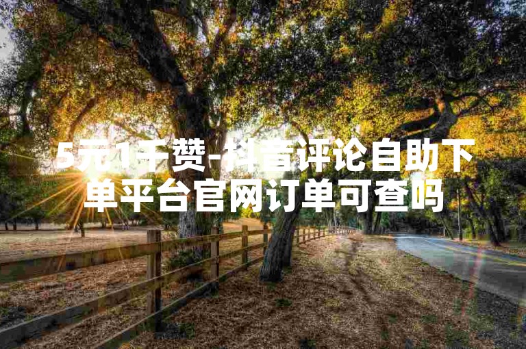 5元1千赞-抖音评论自助下单平台官网订单可查吗