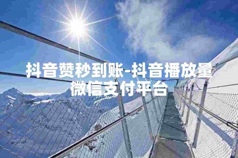 抖音赞秒到账-抖音播放量微信支付平台