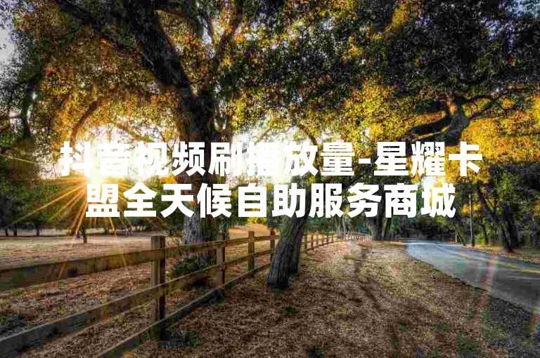 抖音视频刷播放量-星耀卡盟全天候自助服务商城