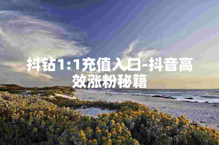 抖钻1:1充值入口-抖音高效涨粉秘籍