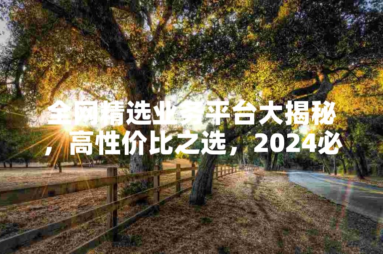 全网精选业务平台大揭秘，高性价比之选，2024必看！