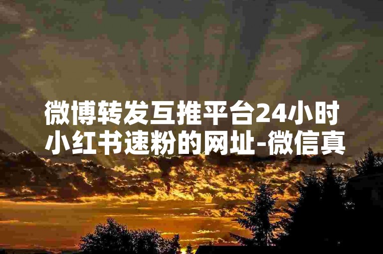 微博转发互推平台24小时 小红书速粉的网址-微信真人点赞定制下单全攻略