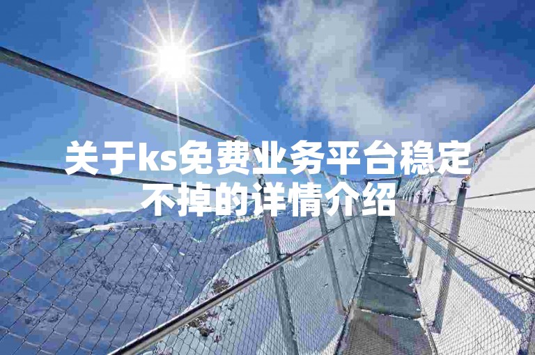 关于ks免费业务平台稳定不掉的详情介绍