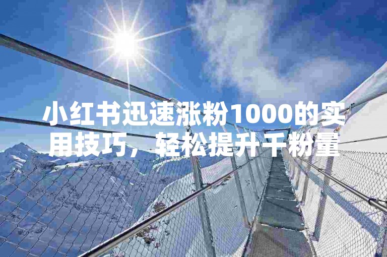 小红书迅速涨粉1000的实用技巧，轻松提升千粉量！新手必看！