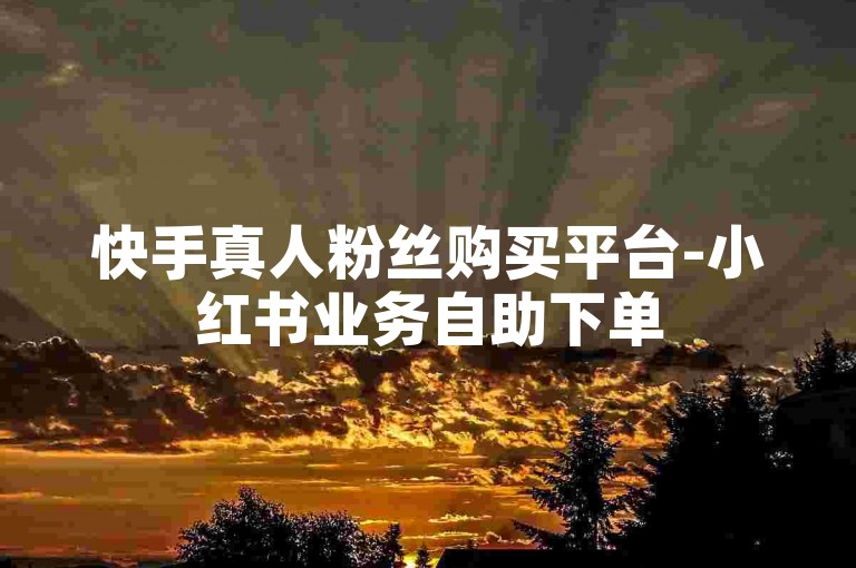快手真人粉丝购买平台-小红书业务自助下单