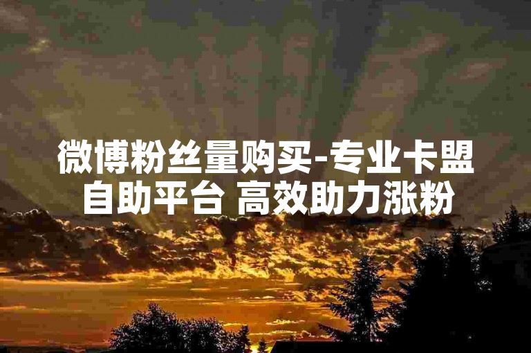 微博粉丝量购买-专业卡盟自助平台 高效助力涨粉