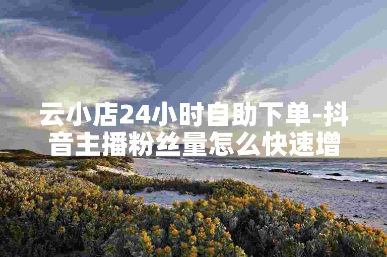 云小店24小时自助下单-抖音主播粉丝量怎么快速增加