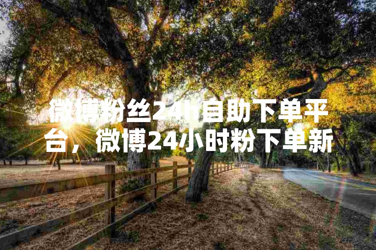 微博粉丝24h自助下单平台，微博24小时粉下单新站开启？小红书业务低价自助-微赞超低价24h自助-微博评论点赞特惠官网