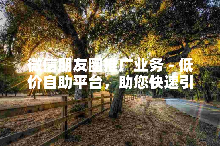 微信朋友圈推广业务 - 低价自助平台，助您快速引流