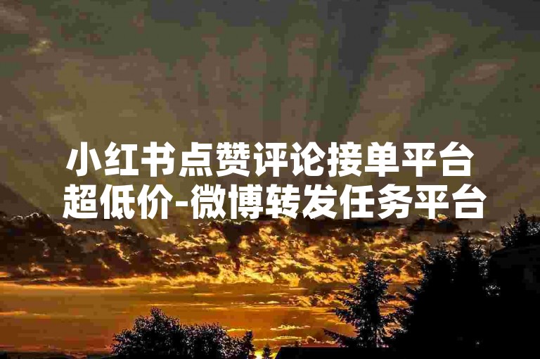 小红书点赞评论接单平台 超低价-微博转发任务平台 24小时自助下单