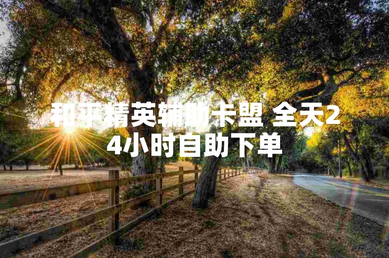 和平精英辅助卡盟 全天24小时自助下单