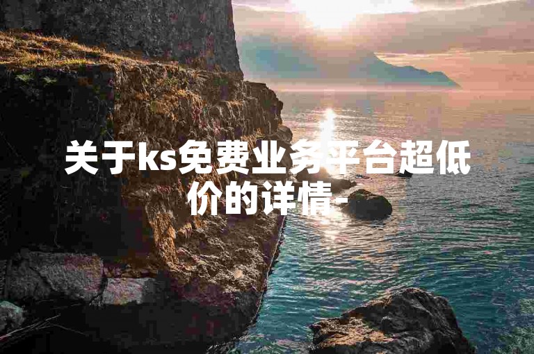 关于ks免费业务平台超低价的详情-