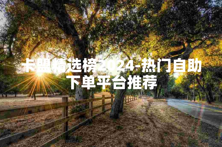卡盟精选榜2024-热门自助下单平台推荐